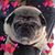 Kimberley Andrews's profile image