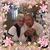Crystalandhank Rogersjr's profile image