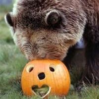 Michele Tulley Bowman's profile image