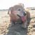 Lacy NeSmith Teegerstrom's profile image