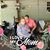 Crystal Allbritton's profile image