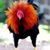 S Missy Underwood's profile image