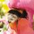 Pamela Marie Faulkner's profile image