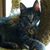Nancie Karaitis's profile image