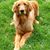 Brenda Cunningham's profile image