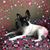 Robbyn Lyn Reed's profile image