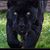 Barb Lutz's profile image
