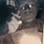 Sandy Adams's profile image