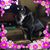 Linda Gaul's profile image