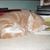 Donna Goodrich's profile image