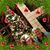 Donna Lee Davis Moore's profile image