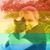 Tim Nee's profile image