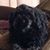 Dawson Willer's profile image