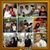 Malvin Talabis Basit's profile image