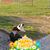 Debbie Carter's profile image