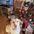 Deb Hoyt's profile image