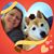 Nicolle Joy Wilfenger's profile image