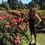 Nancy Kapsner's profile image