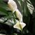 Mary Jane Vinette's profile image