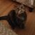 Donna Pretko's profile image