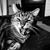 Andrea Artman's profile image