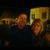 Shelley Pease- Corbett's profile image