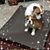 Kelli Crain Cavazos's profile image