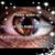 Bonnie Lloyd's profile image