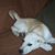 Linda Whitten's profile image
