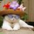 Michelle L. Daniells's profile image