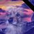 Mabel Toledo's profile image