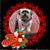 Eveline Gatzsche's profile image