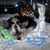 Sandy Dowling's profile image