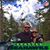 Jennifer Craig-Wamsley's profile image