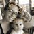 Nicole Ray McMillan's profile image