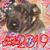 Mary Campbell's profile image