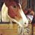 Izy Stuhlmacher's profile image