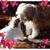 Fran Orenstein's profile image