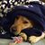 Amy Cornelison Nance's profile image