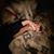 Jill Hislope-Sloane's profile image