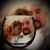 Rodney Guajardo Romero's profile image