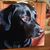 Samantha Jeschke's profile image