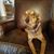Ejay Haupt's profile image