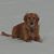 Stephan Dickman's profile image