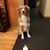 Lisa Christine's profile image