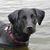 Tracey Rogers Winslow's profile image