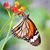 Jennifer Warsinger's profile image