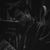Ammar Ahmed's profile image