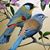 Jaffar Abdulla Nasar's profile image