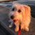 Irene Robicheaux's profile image